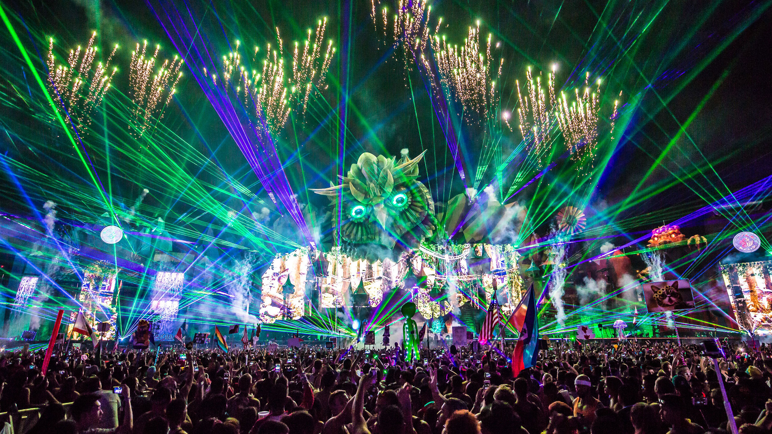 EDMの日本市場における重要性と文化的適応のポイント