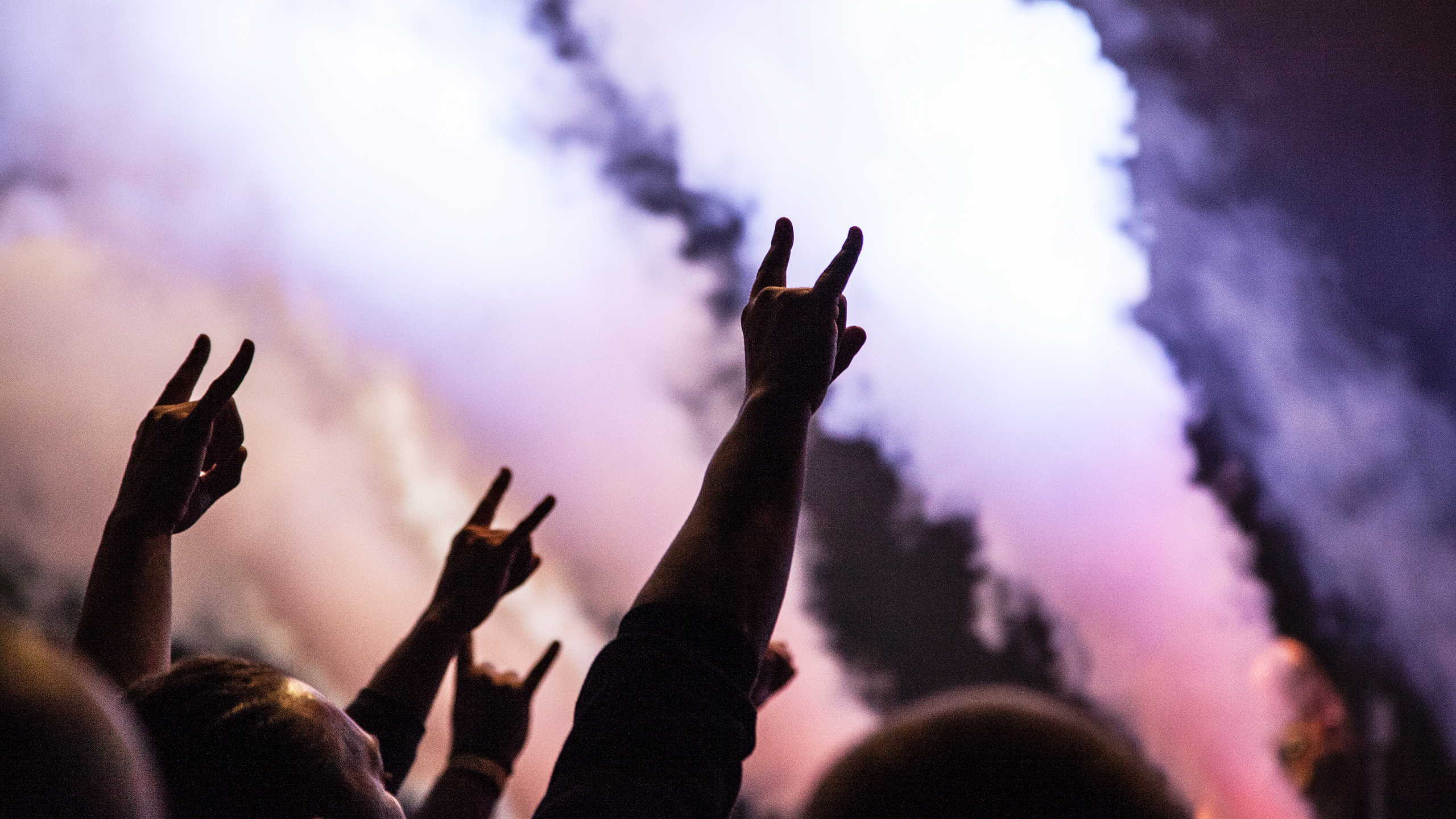 ROOTS66 -Naughty 50-（ルーツ66ノーティー50）｜音楽フェス・イベント