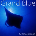 Grand Blue