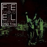 DSDVD FEEL : DSD Trio LIVE 2013-2014