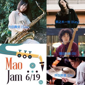 0619Maojamスチール